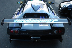 リバティーウォーク製ウイング