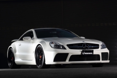 SL65 AMG ブラックシリーズ フロント ロベルタ・リフターシステム