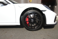 991.2  GT3  ROBERUTA Lifter System.