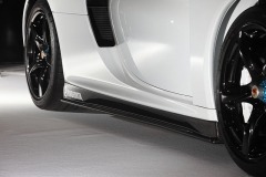 ROBERUTA カレラGT サイドステップ