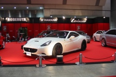 SIS 2010 ハーマンモタースポーツジャパン様